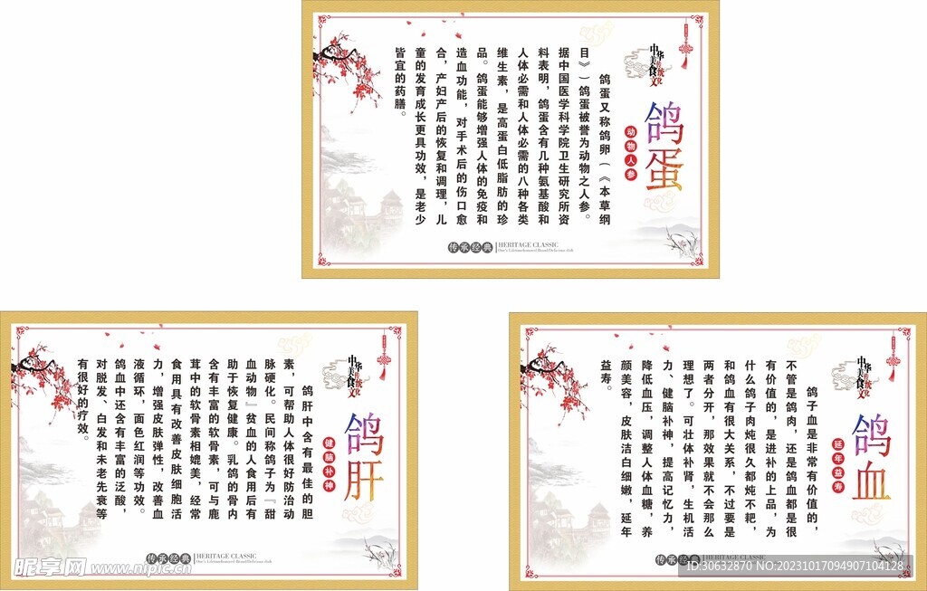 乳鸽文化宣传