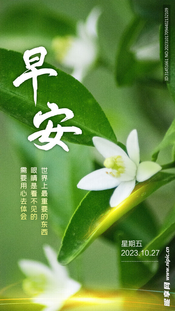 早安海报