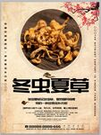 中国风冬虫夏草