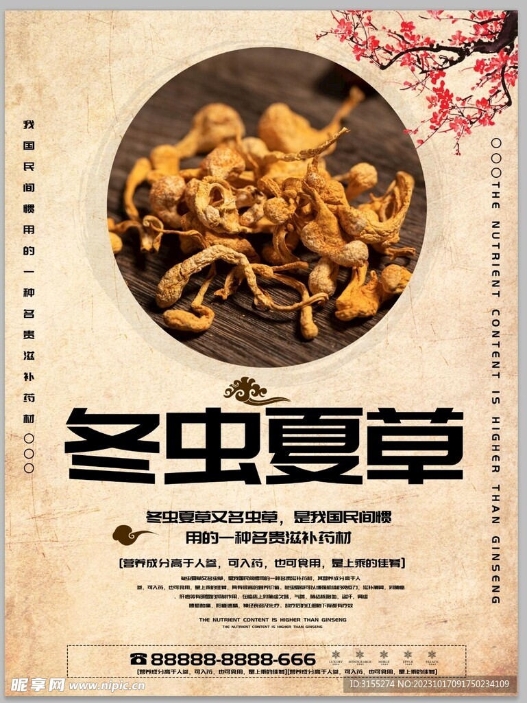 中国风冬虫夏草