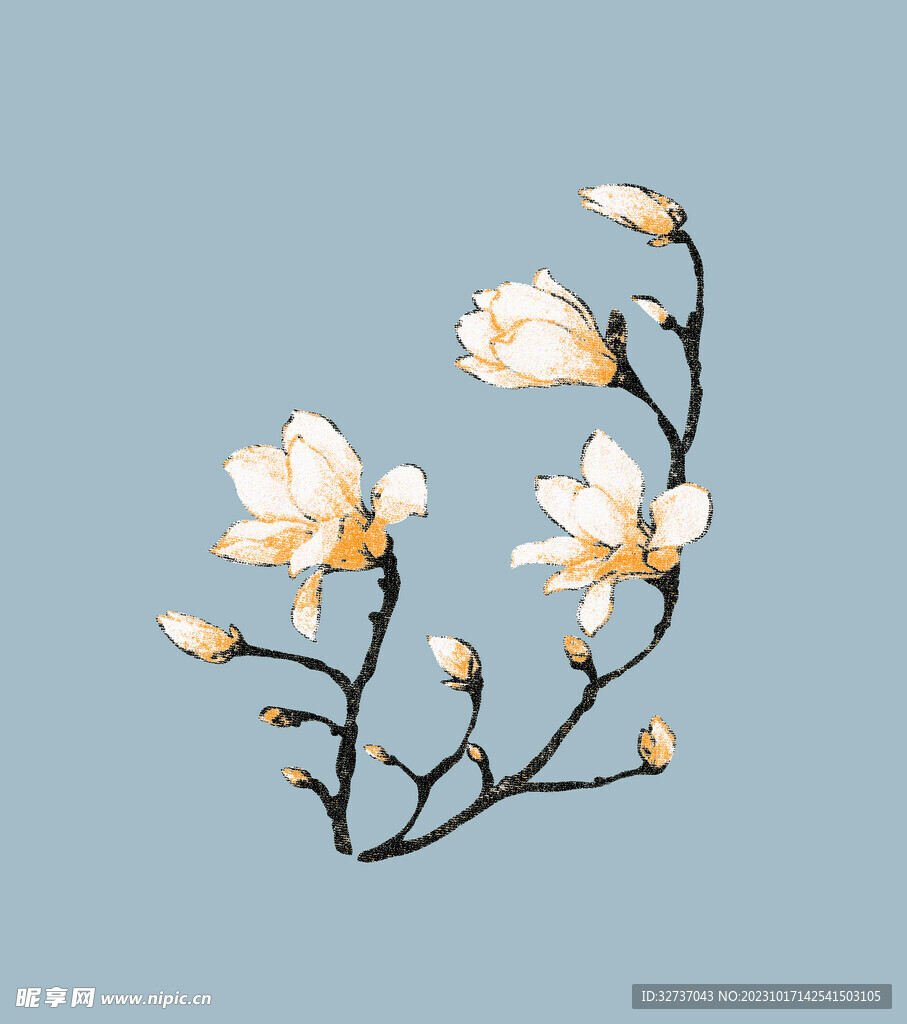 百合花
