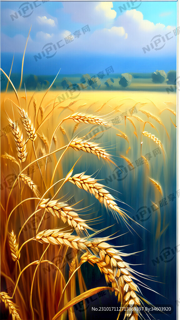 麦穗 晶莹剔透 油画 梦幻