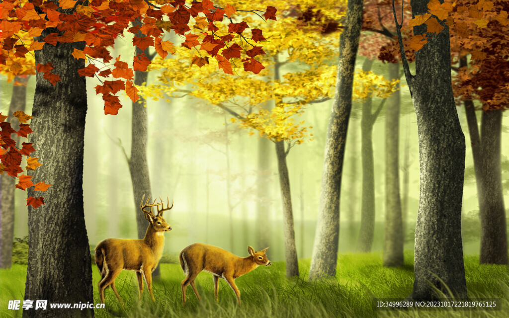美丽的秋天红枫林麋鹿背景墙