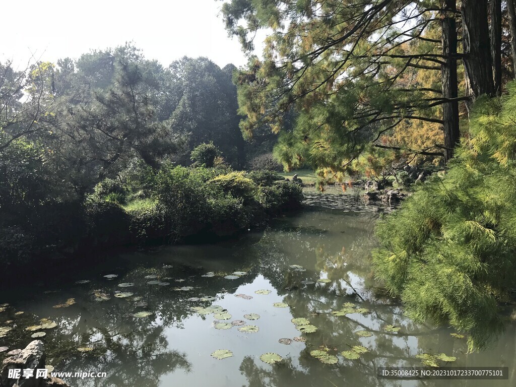 公园