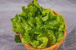 生菜