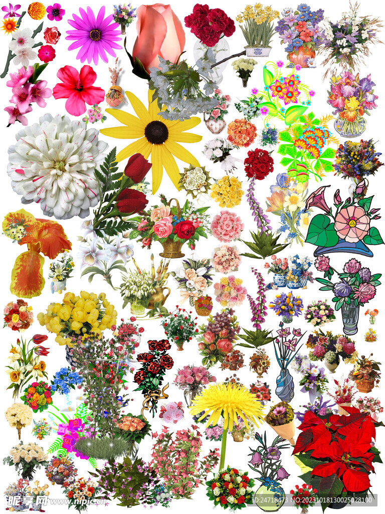 花卉花朵花束盆栽png