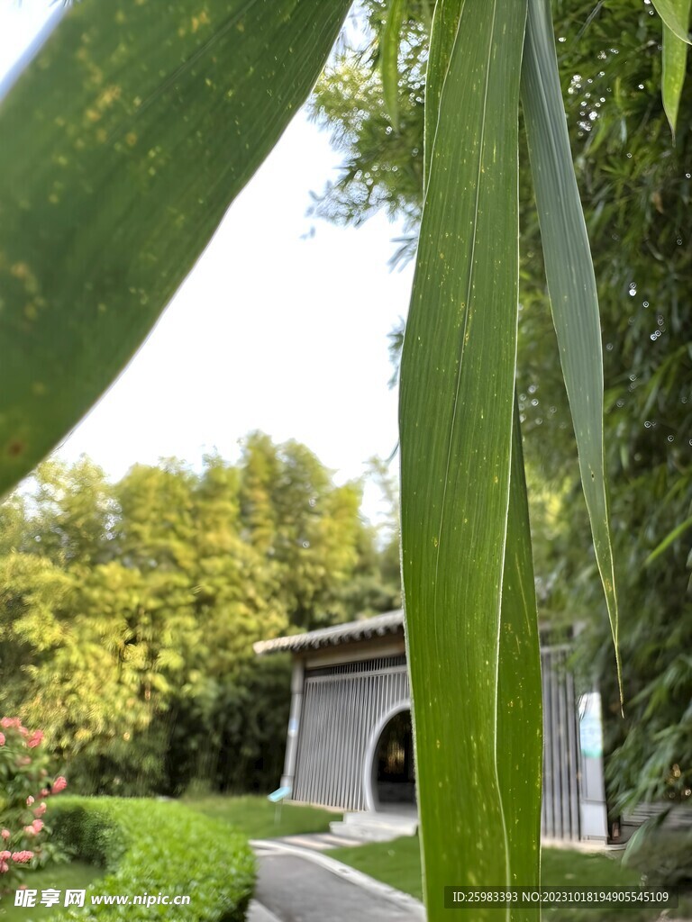 园林景观
