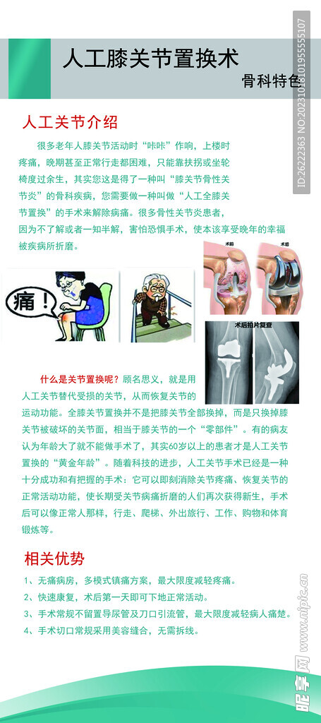 膝关节