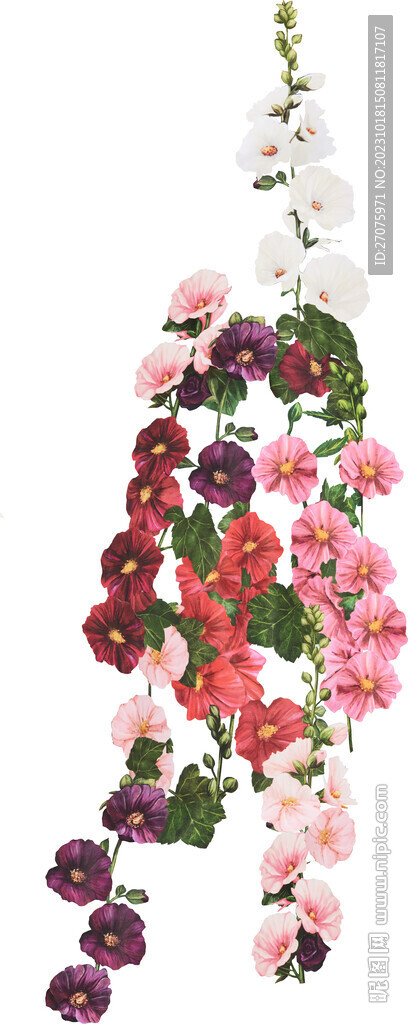 水彩花