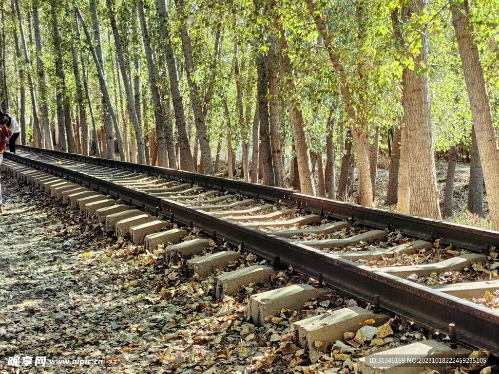 秋天铁路景观摄影
