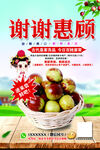 冬枣宣传卡片