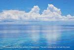 大海 