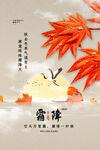 霜降广告