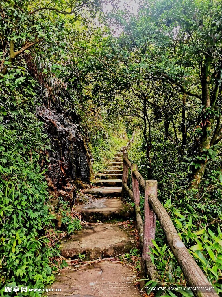 幽静山路