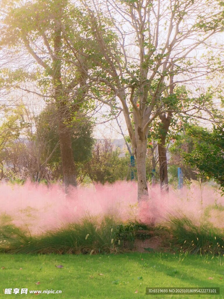 秋天风景