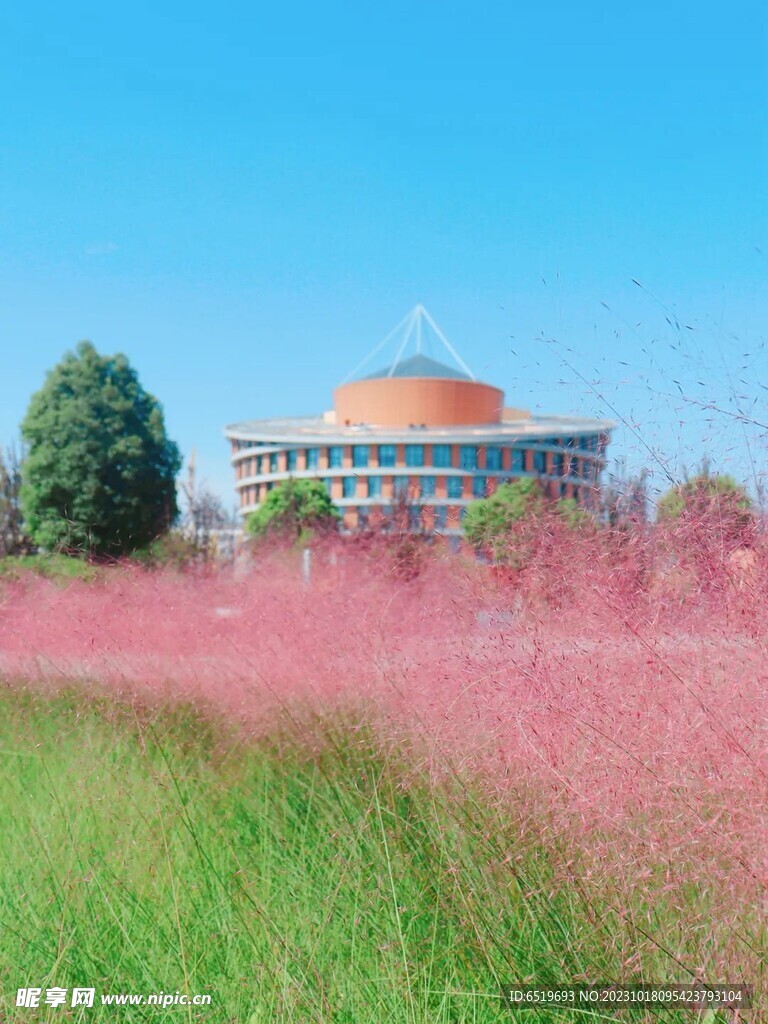 秋高气爽