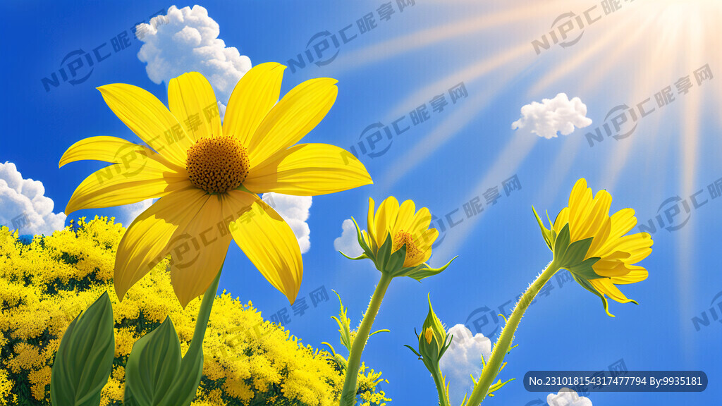 一朵黄色的花 阳光蓝天白云