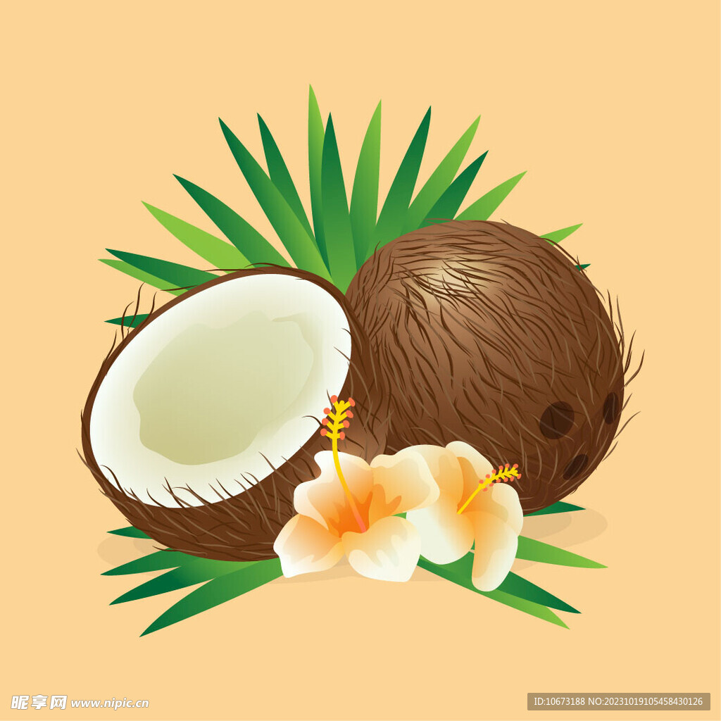卡通椰子