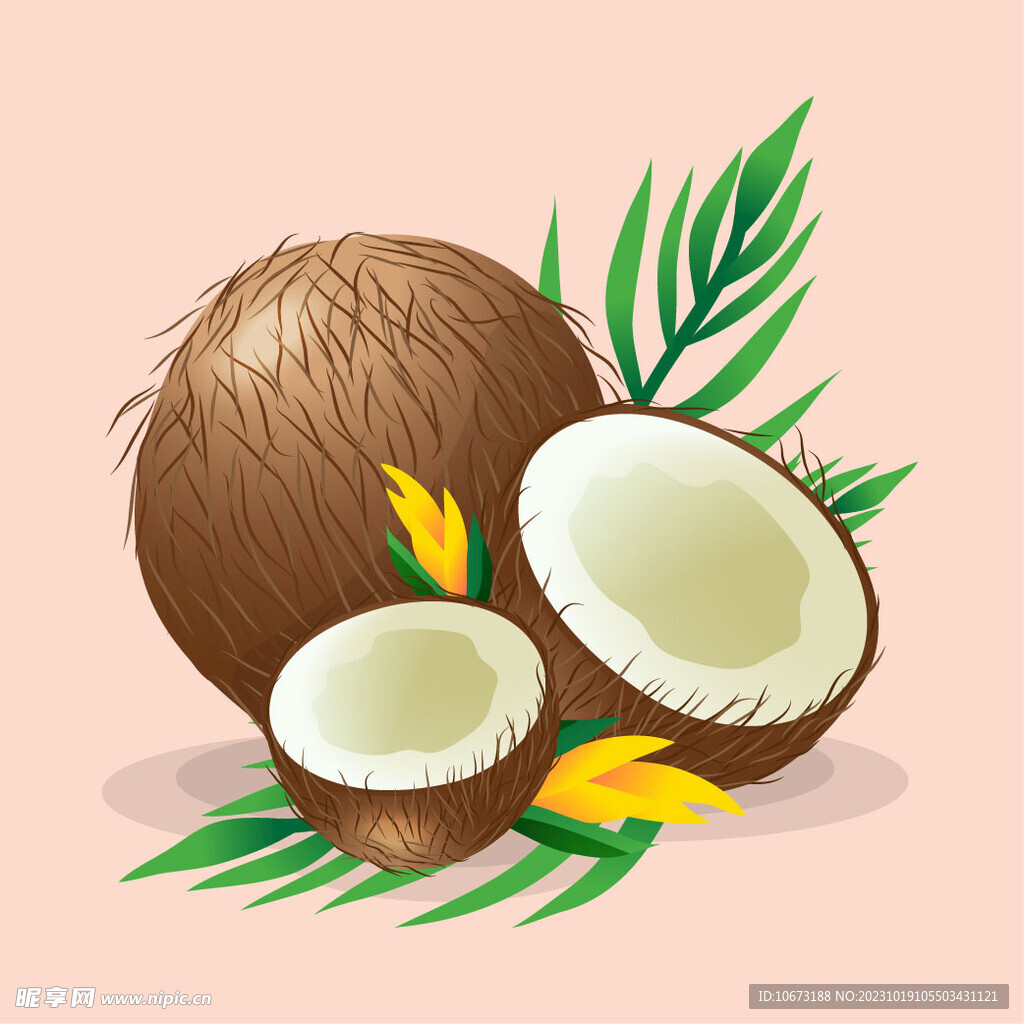 卡通椰子
