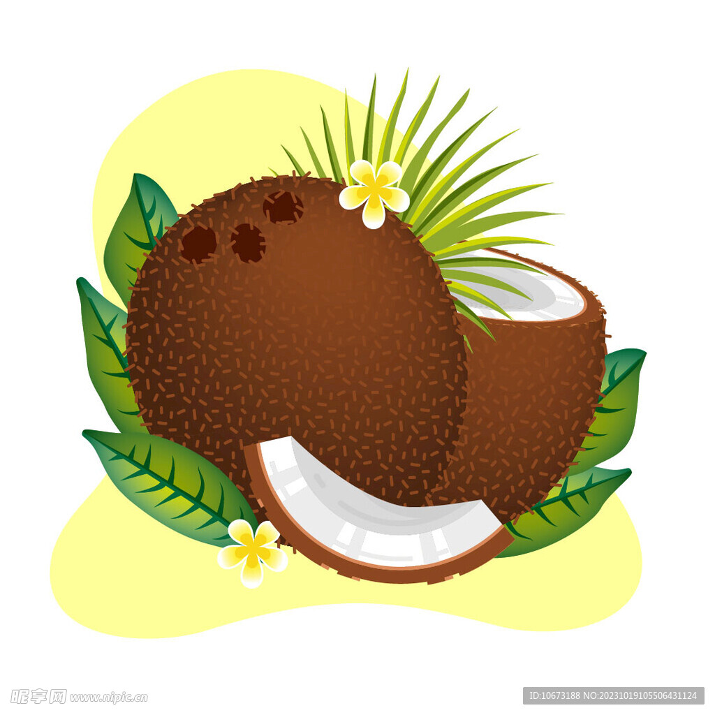 卡通椰子