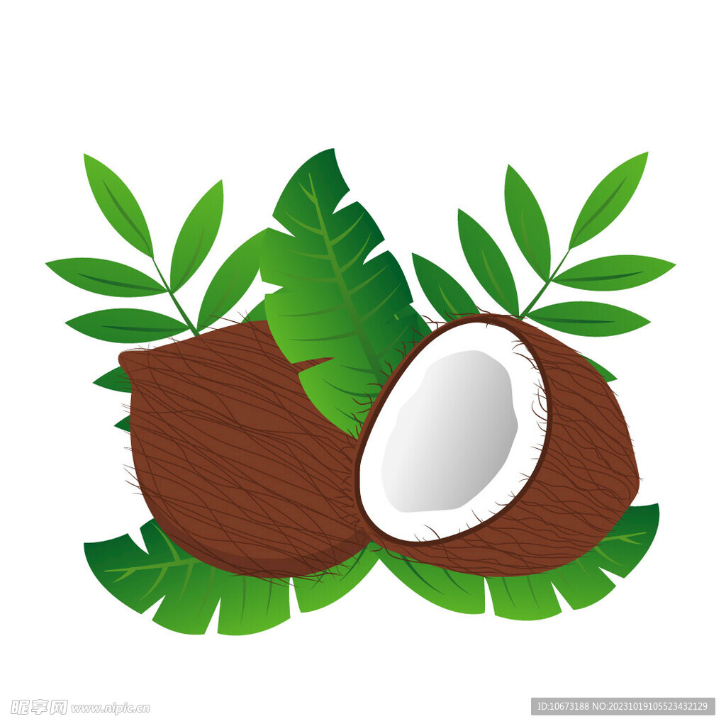 卡通椰子 