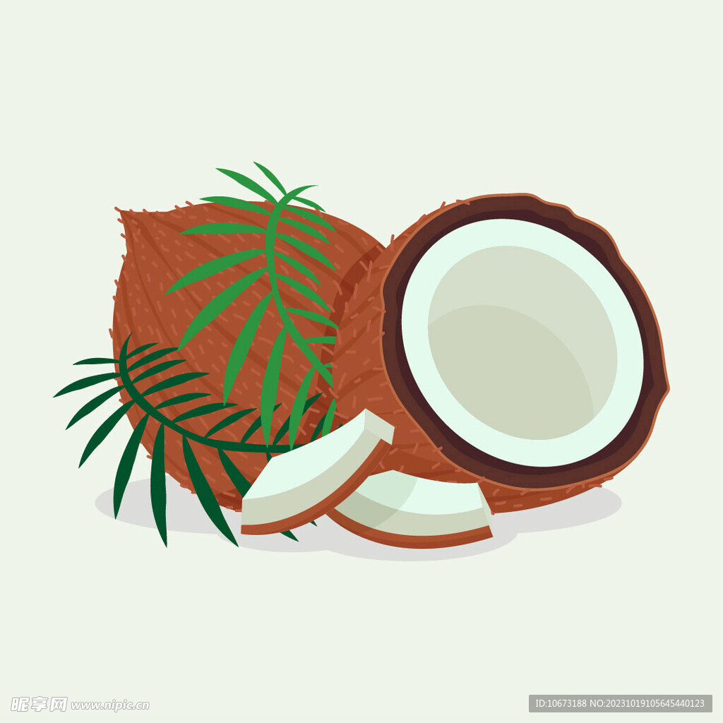 卡通椰子 