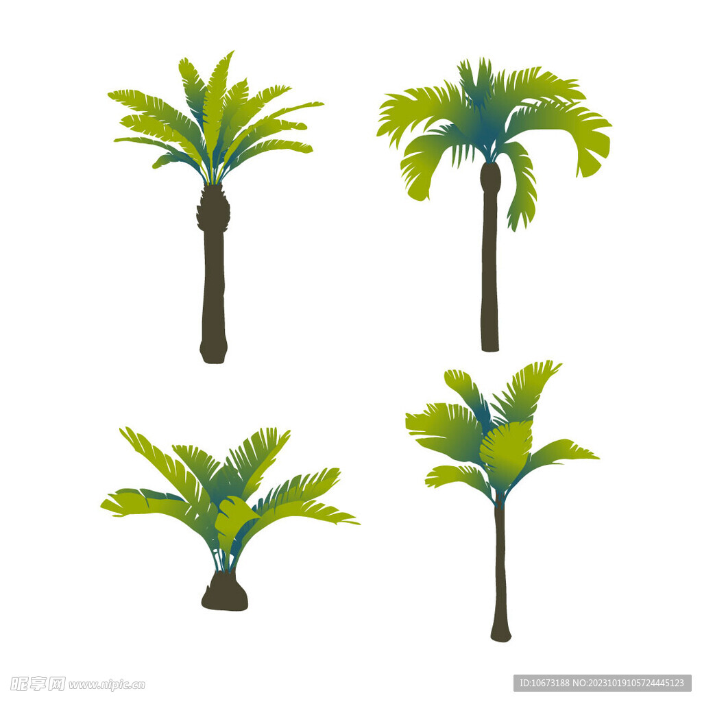 棕榈树 
