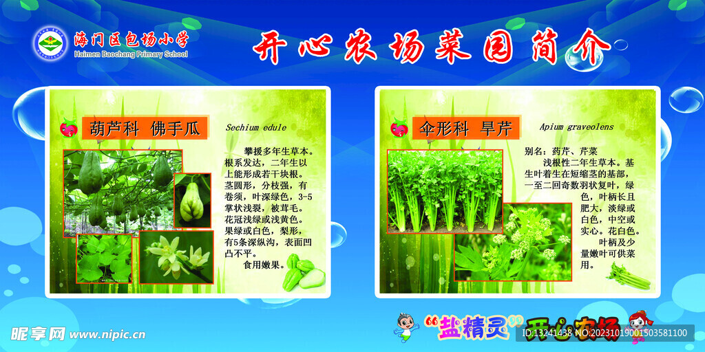 开心农场简介