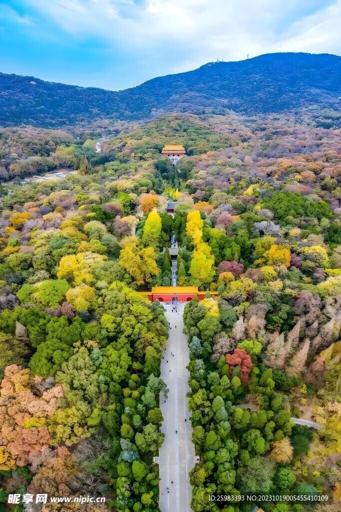 秋季的灵谷景区