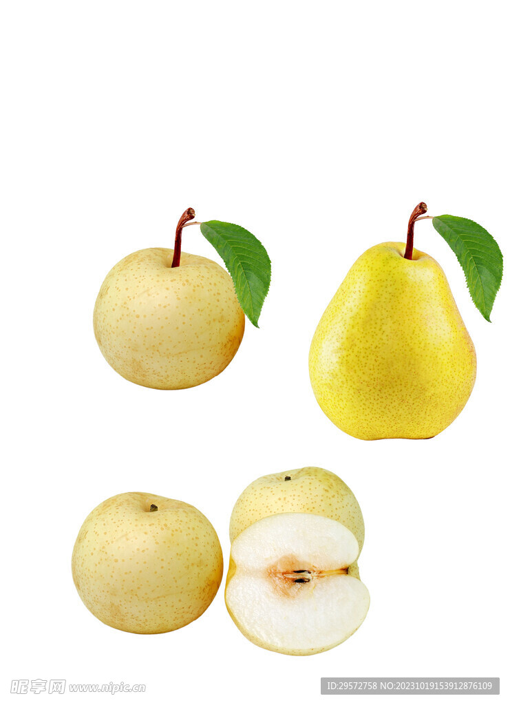 梨水梨大胖梨带叶子的梨元素