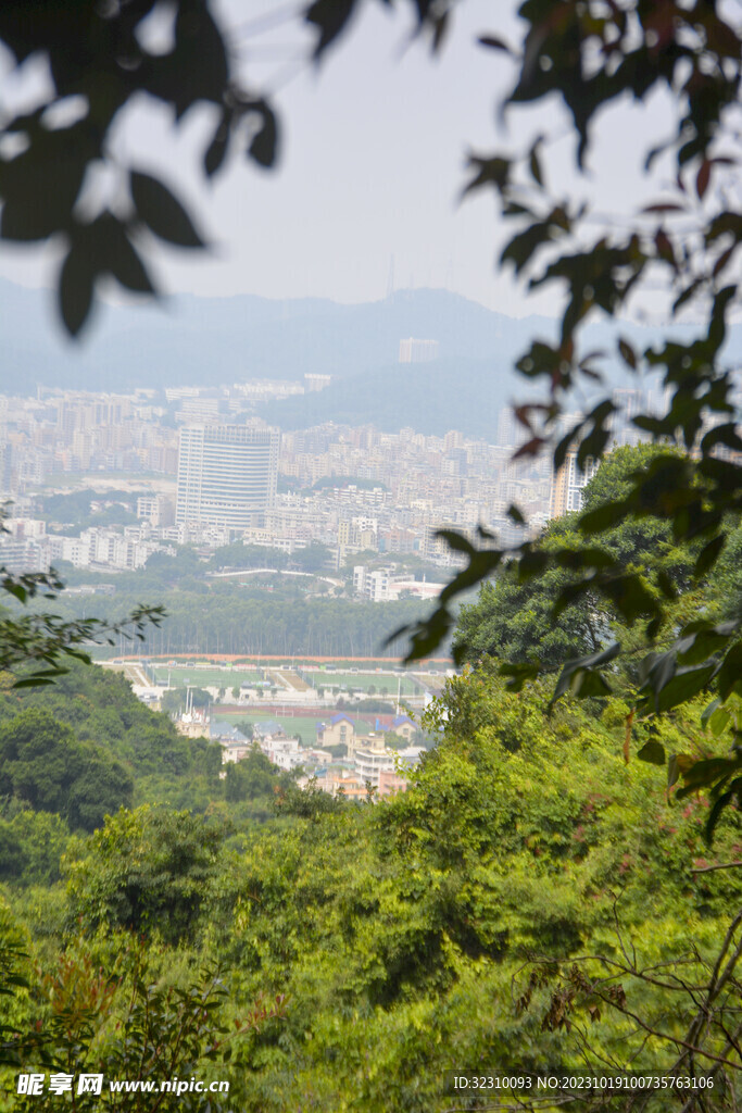 山顶
