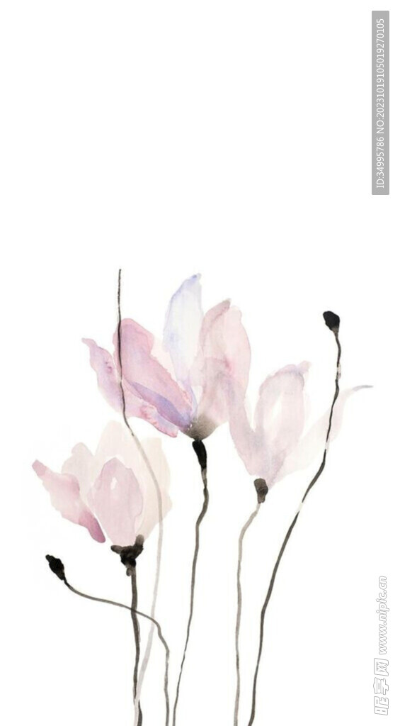 手绘花   