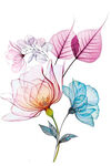 花  