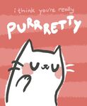 猫咪