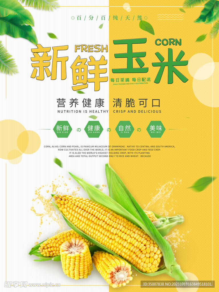 玉米