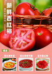 西红柿食谱海报源文件