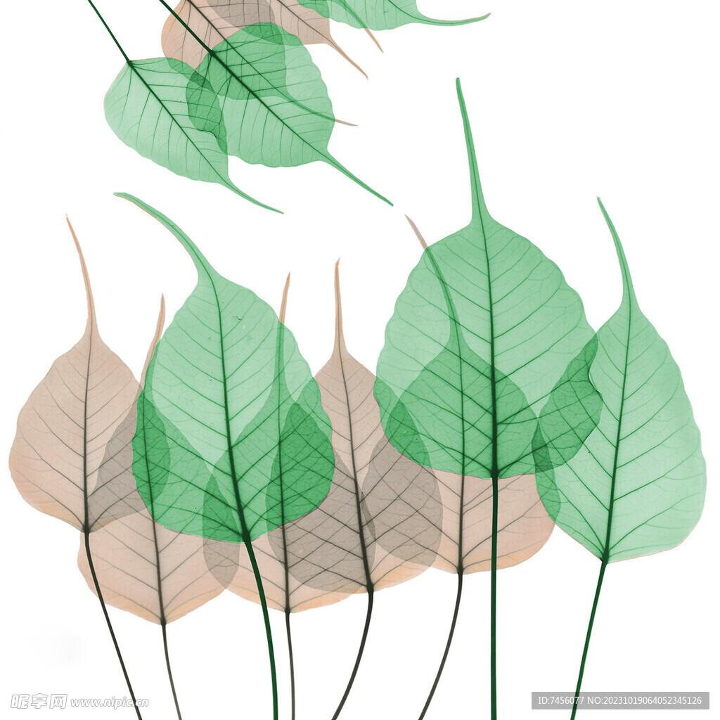 水彩树叶唯美挂画装饰画