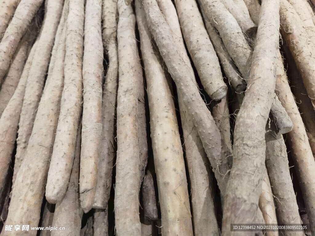山药