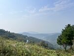 山景