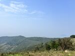 山景