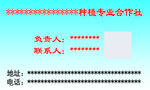 名片 正