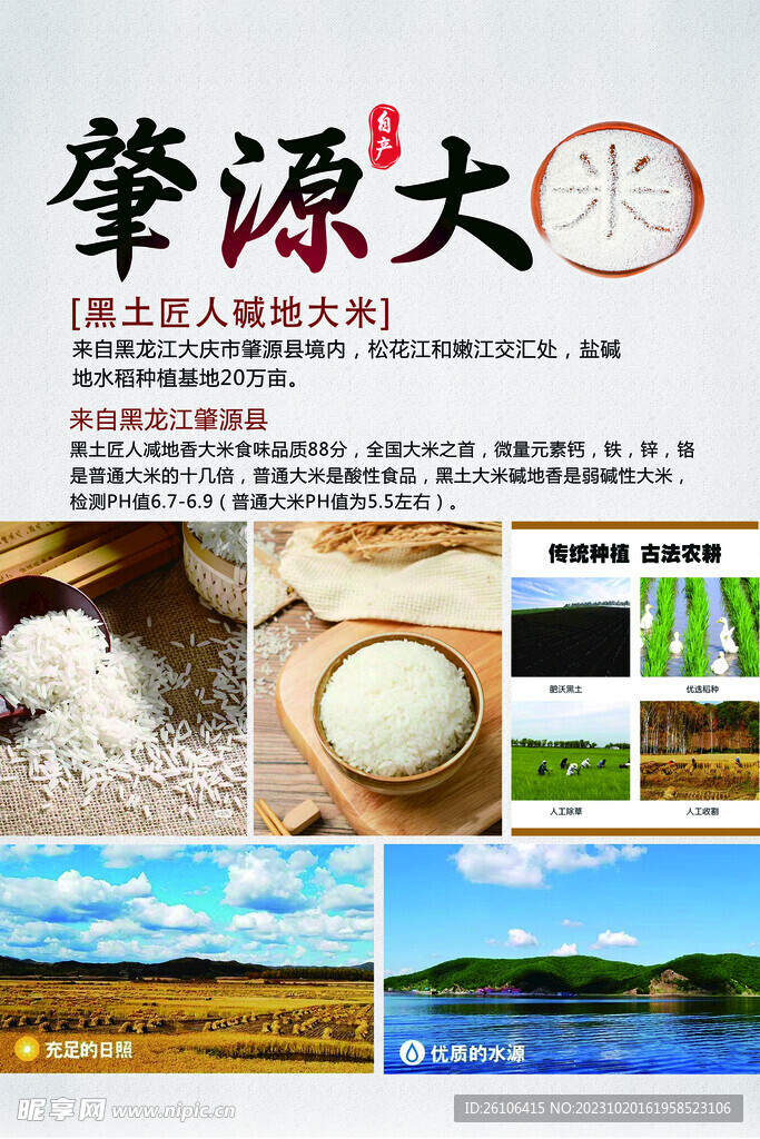 大米海报简介