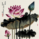 中国风，中国画，荷花，荷叶，写意，意境，高雅，高清，