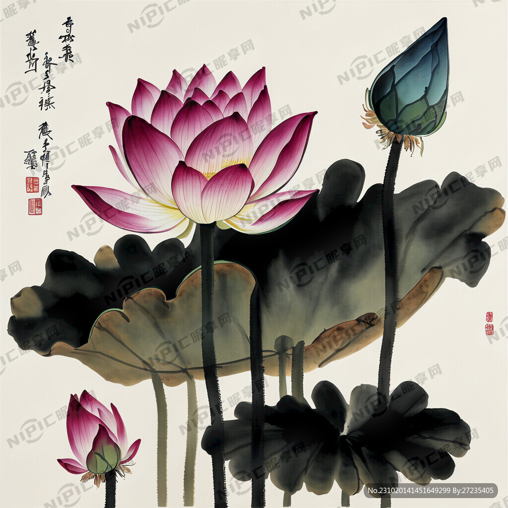 中国风 中国画 荷花 荷叶