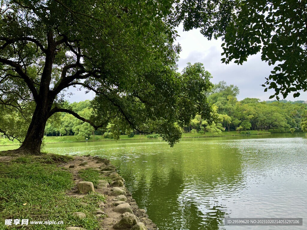 森林湖泊