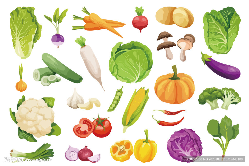 蔬菜插画