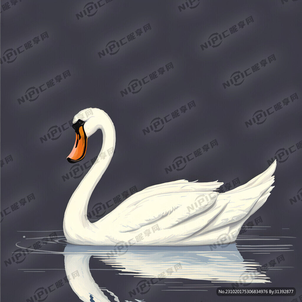 天鹅湖天鹅插画