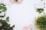 花俯视背景图         