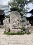 庭院 树木 公园 假山