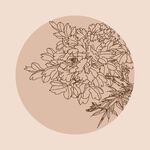 手绘花卉牡丹